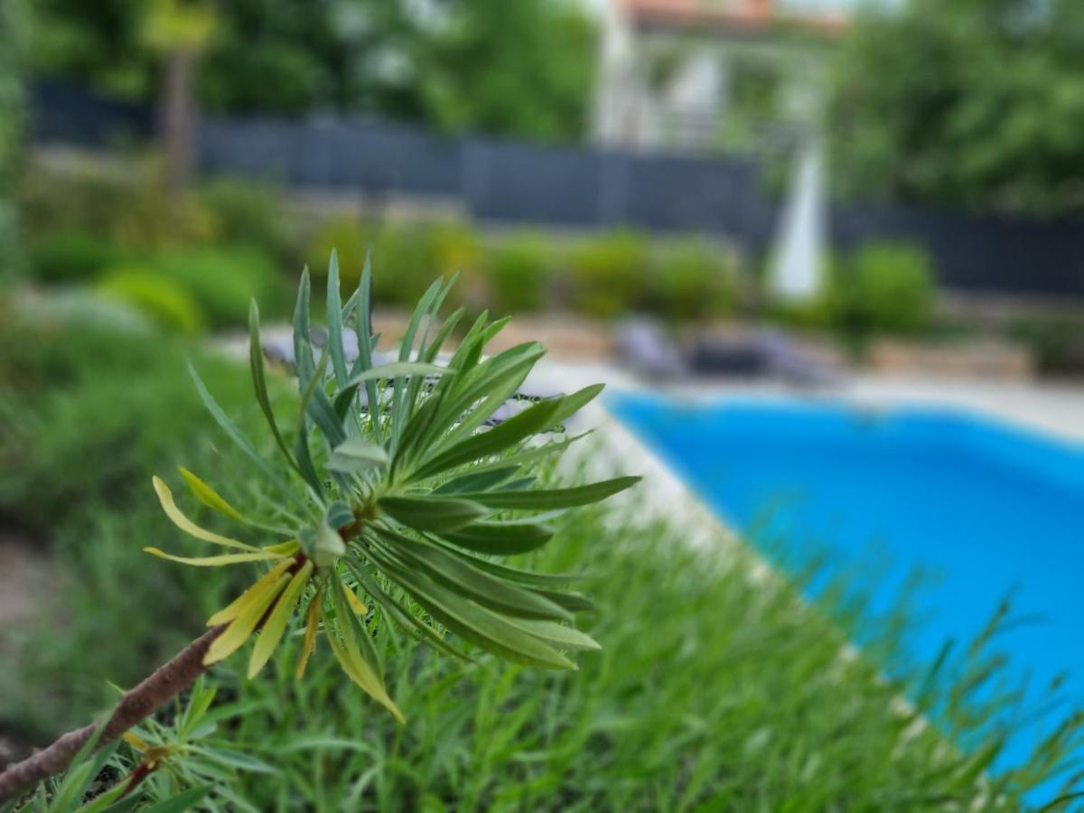 Villa Bellina Muraj Kornić Екстериор снимка